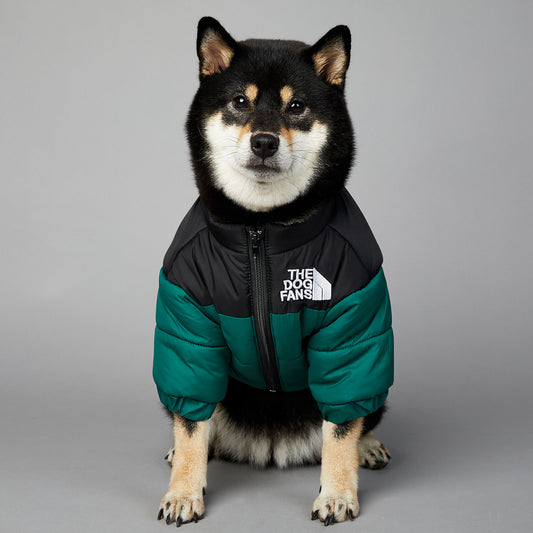 American trendy dog face windproof and rainproof dog large dog winter warm raincoat dog pet cotton jacket