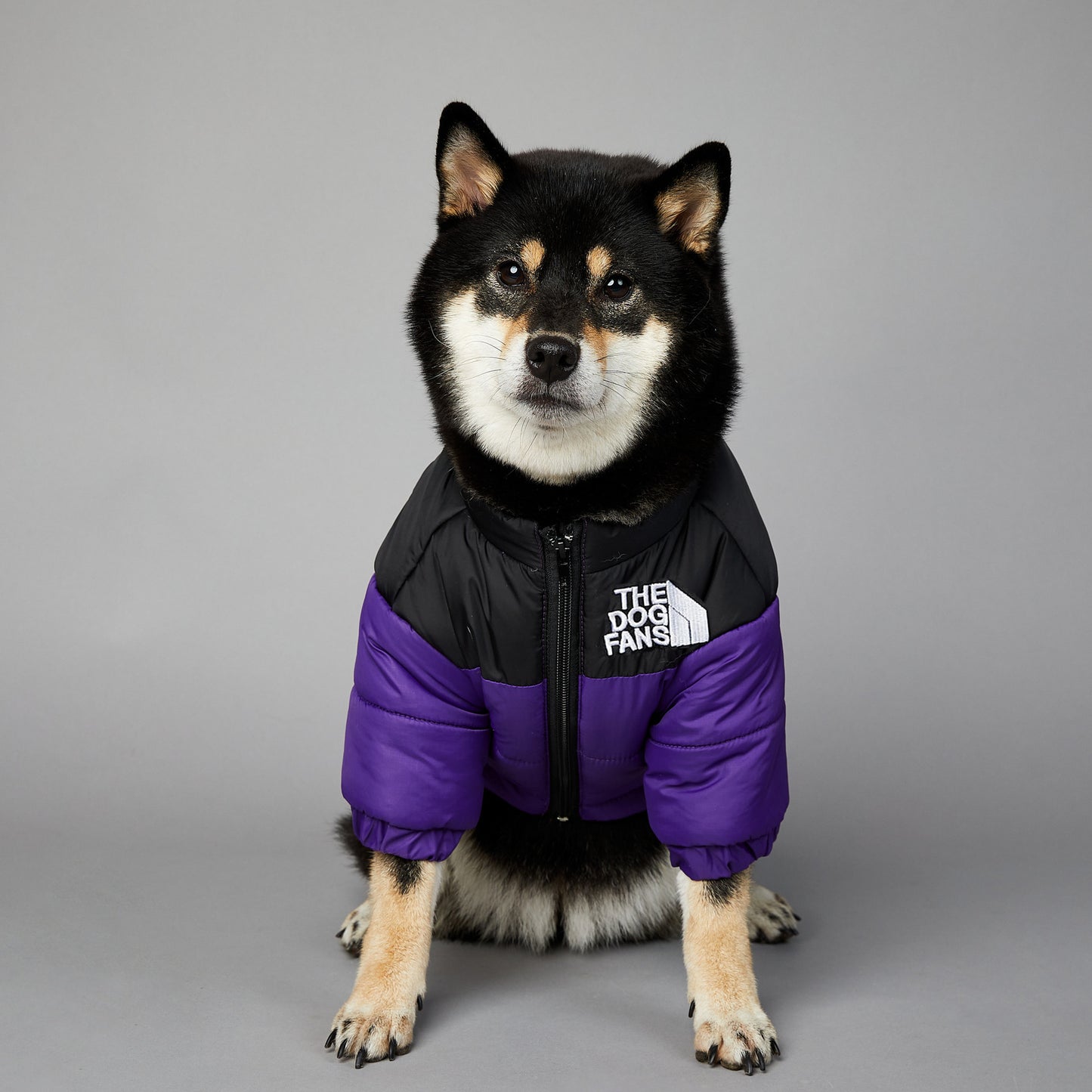 American trendy dog face windproof and rainproof dog large dog winter warm raincoat dog pet cotton jacket