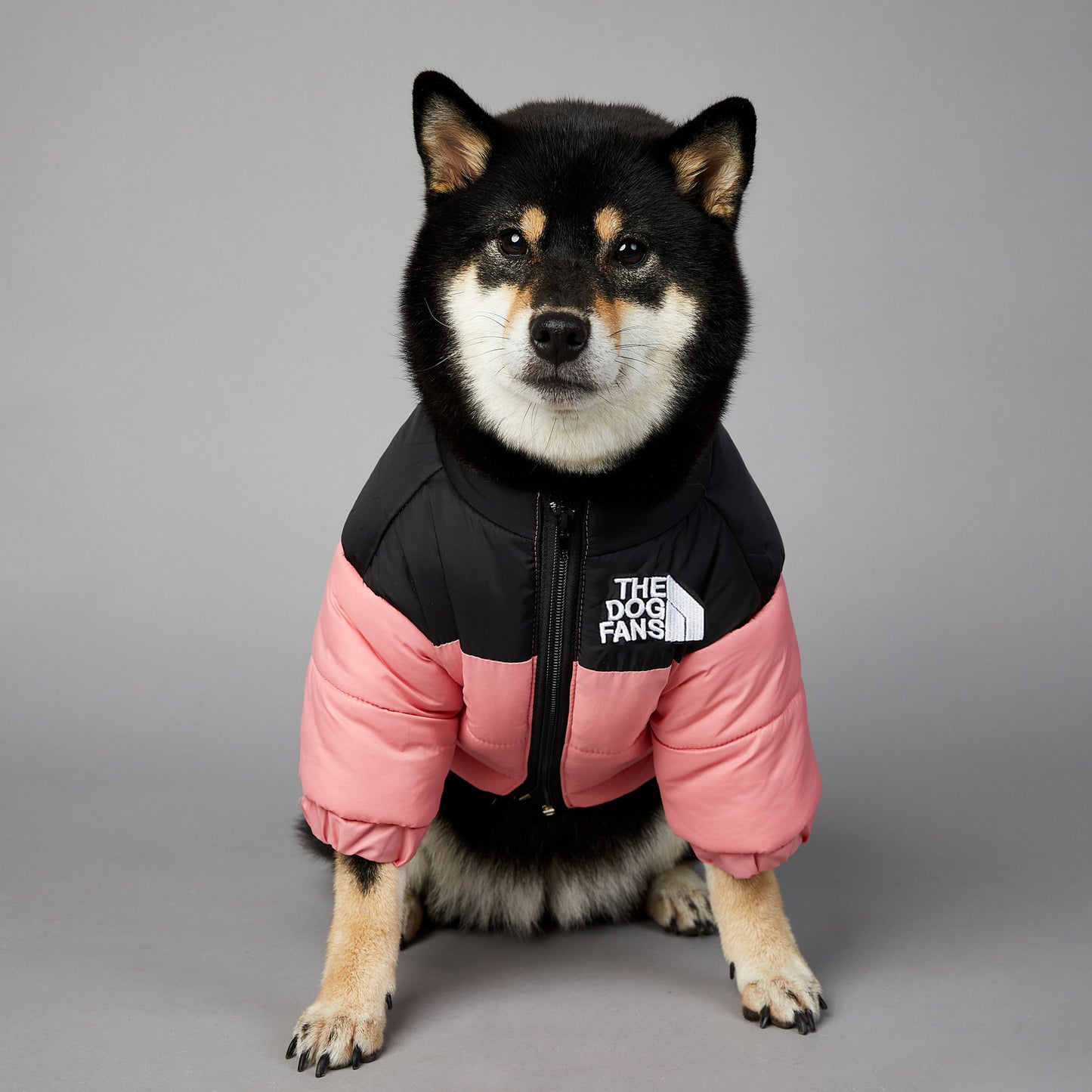 American trendy dog face windproof and rainproof dog large dog winter warm raincoat dog pet cotton jacket